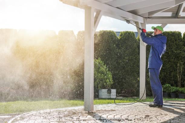 Animal Enclosure Cleaning in Hitchcock, TX